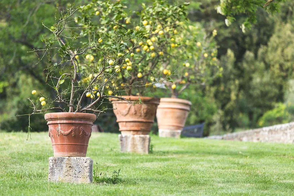 Alojamento de Turismo Rural Agriturismo Villa Buoninsegna Rapolano Terme