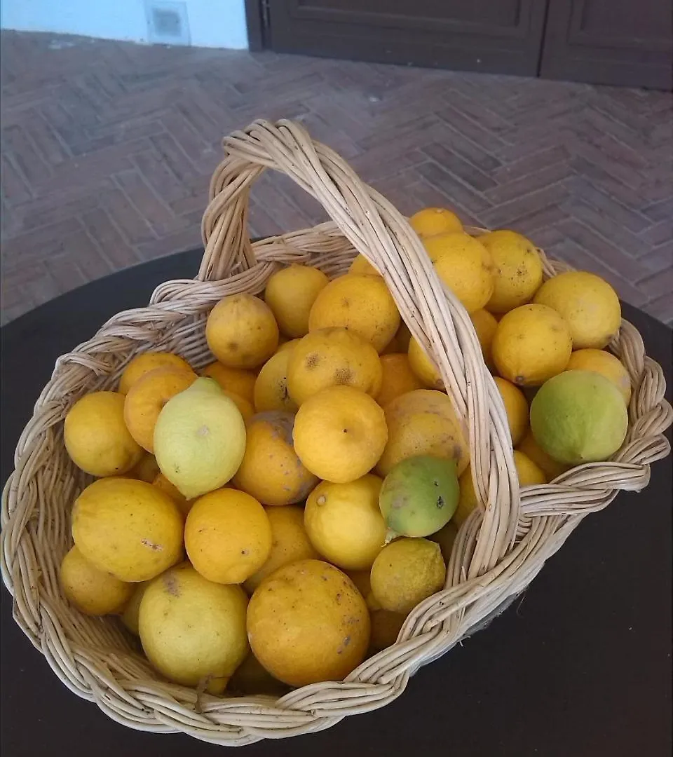 Agriturismo Villa Buoninsegna Rapolano Terme 0*,  Itália